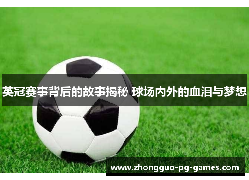 英冠赛事背后的故事揭秘 球场内外的血泪与梦想