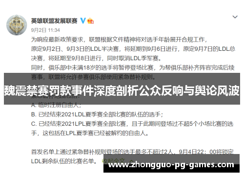 魏震禁赛罚款事件深度剖析公众反响与舆论风波