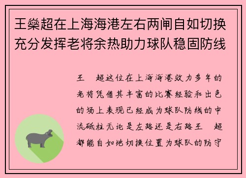 王燊超在上海海港左右两闸自如切换充分发挥老将余热助力球队稳固防线